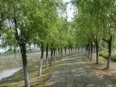 -艾溪湖湿地公园