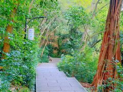 -广州市白云山风景名胜区