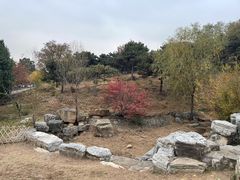 -北京西山国家森林公园