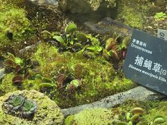 -国家植物园南园