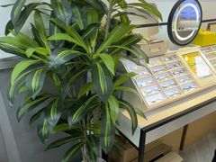 -天空之镜眼镜店蔡司依视路配镜授权零售店(望京颐堤港店)