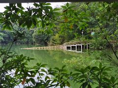 -广州市流溪河国家森林公园