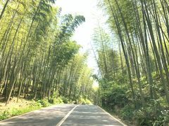 -漫山居私汤民宿全竹宴