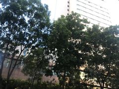 -岭南海晏楼(滨江东总店)