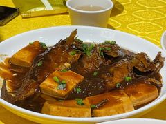 小黄鱼烧豆腐-鹿港小镇经典老上海菜(长乐路店)