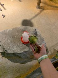 点击看大图 -酷嗒动物文化乐园(cutezoo西溪乐天城店)