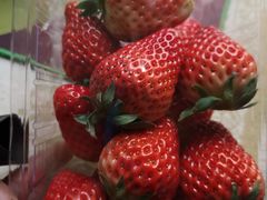 -百果园PAGODA(玄武成贤街店)