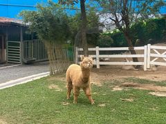 -云栖山谷露营地·团建年会·生日派对