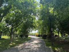 -南湖湿地公园