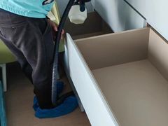 -Liteclear日本进口强效除甲醛检测治理(旗舰店)