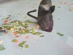 -太原动物园