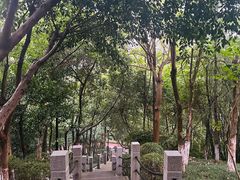 -龙头寺公园