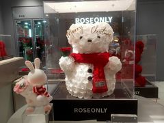 -ROSEONLY诺誓(国际广场购物中心店)