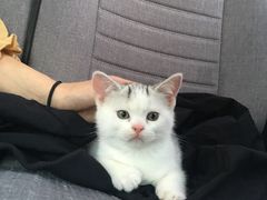 -麦当劳(中山路店)