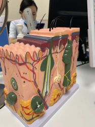 -成都军建医院·疤痕诊疗中心