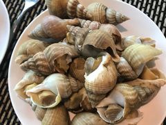 -东莞虎门美思威尔顿酒店