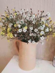 -永琪美容美发全国直营连锁