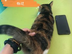 -亚宠动物医院·芭比堂宠物医院(盘龙店)