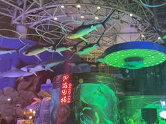 -烟台海昌鲸鲨海洋公园