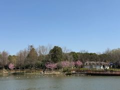-自然谷恐龙园