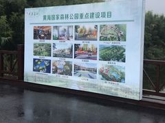 -黄海国家森林公园