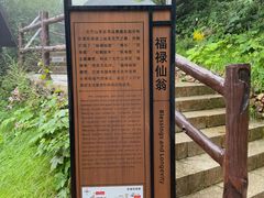 -秦岭天竺山生态文化旅游景区