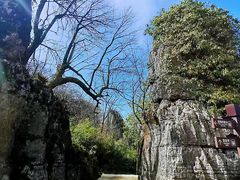 -山王坪喀斯特国家生态公园