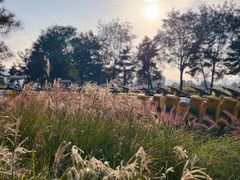 -汉长安城未央宫国家考古遗址公园