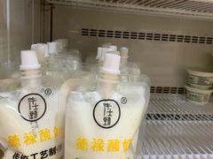 德禄酸奶-德禄酸奶(莫家街店)