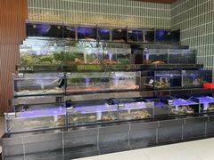 -真浪花园海鲜餐馆