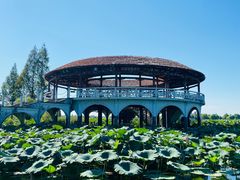 -洪湖生态旅游区