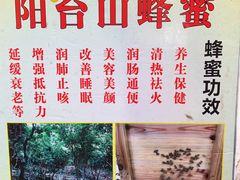 -阳台山森林公园