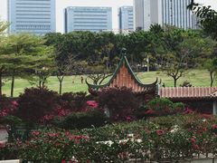 -深圳龙潭公园