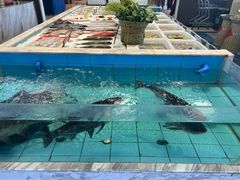 -莆鑫海鲜城(浏河店)