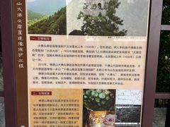 -佛慧山