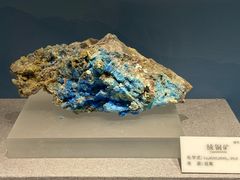 -贵州省地质博物馆