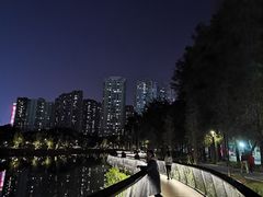 -四海公园(南山区)