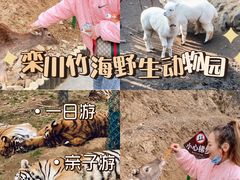 -栾川竹海野生动物园