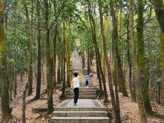 -阳台山森林公园