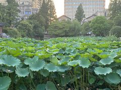 -郑和公园