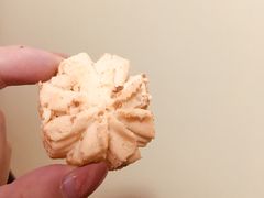 -珍妮曲奇聪明小熊(上环店)