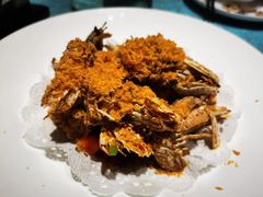 -北塘海鲜·天津菜·鲅鱼水饺是一绝(大光明桥旗舰店)