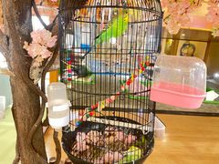 -汤泉良子(金源店)