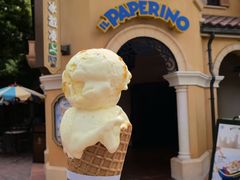 -IL paperino帕帕里诺冰激凌