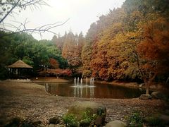 -共青国家森林公园-售票处