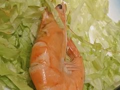 -新侨小馆(东直门北小街店)