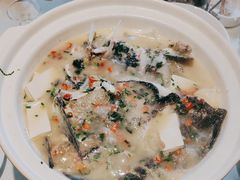 -老傅家湘潭水煮活鱼店(众一国际店)