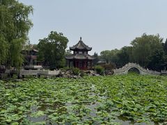 -莲池书院博物馆