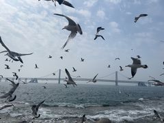 -星海湾跨海大桥
