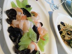 -云中小雅